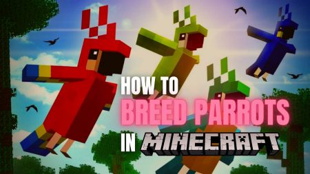 how to breed parrots in minecraft