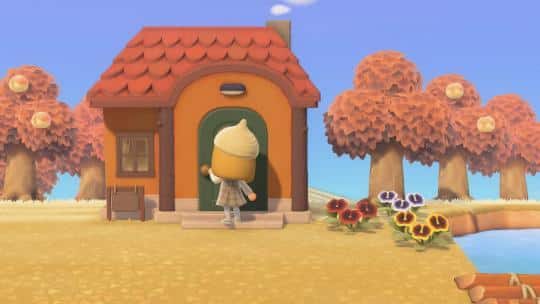 kiki house animal crossing