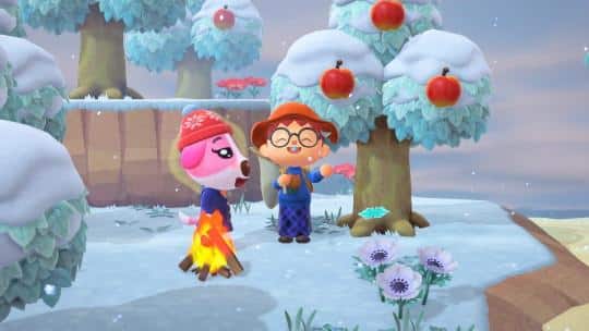 mystery tour method to get cookies acnh