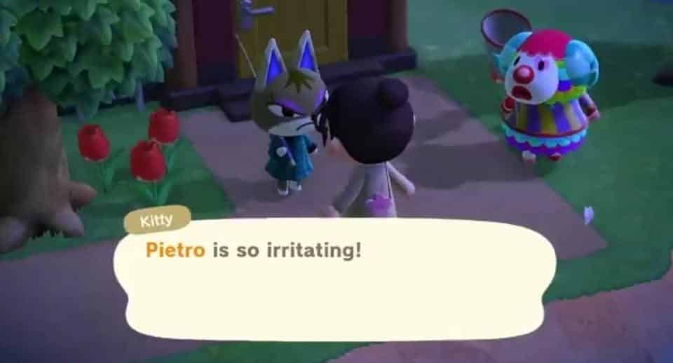 pietro pushy catchphrase