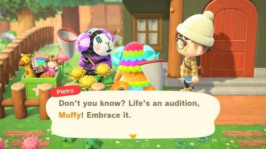 pietro with big sister villagers catchphrase