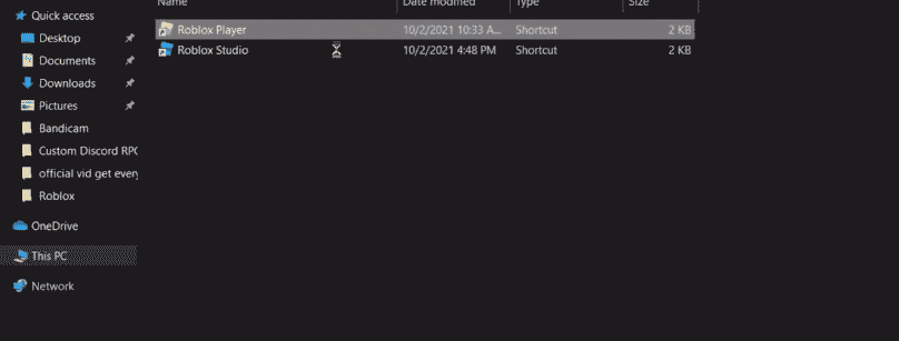 program files of roblox player