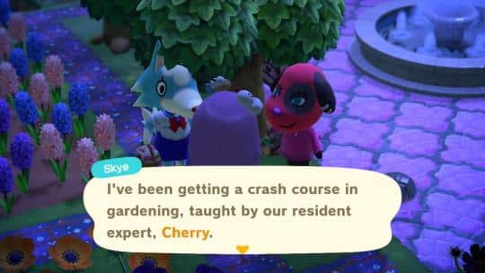 skye with snooty animal crossing