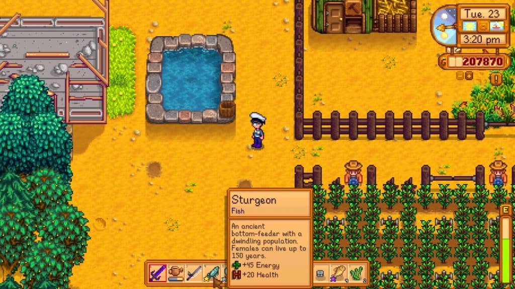 stardew valley sturgeon fish pond