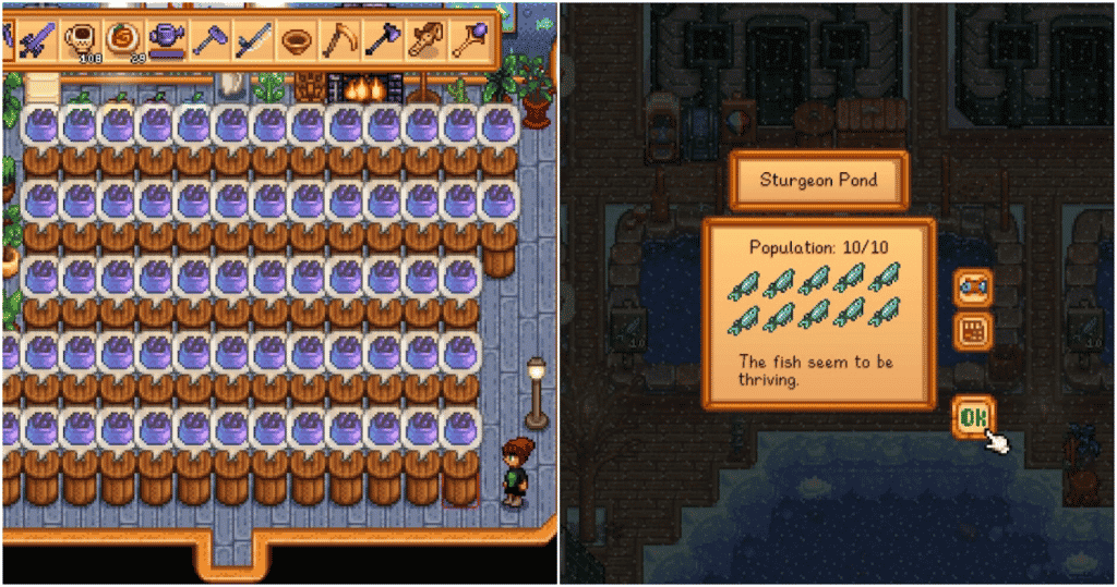 stardew valley sturgeon in pond