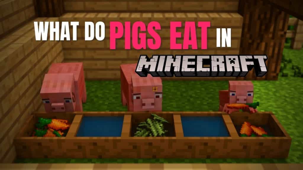 what do pigs eat in minecraft