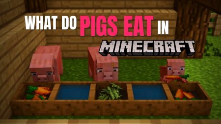 what do pigs eat in minecraft