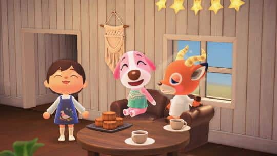 what to get cookie for her birthday acnh