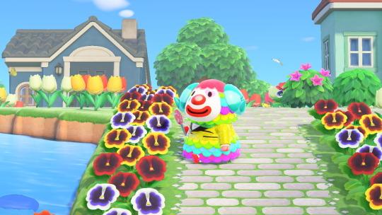 what to get pietro for his birthday