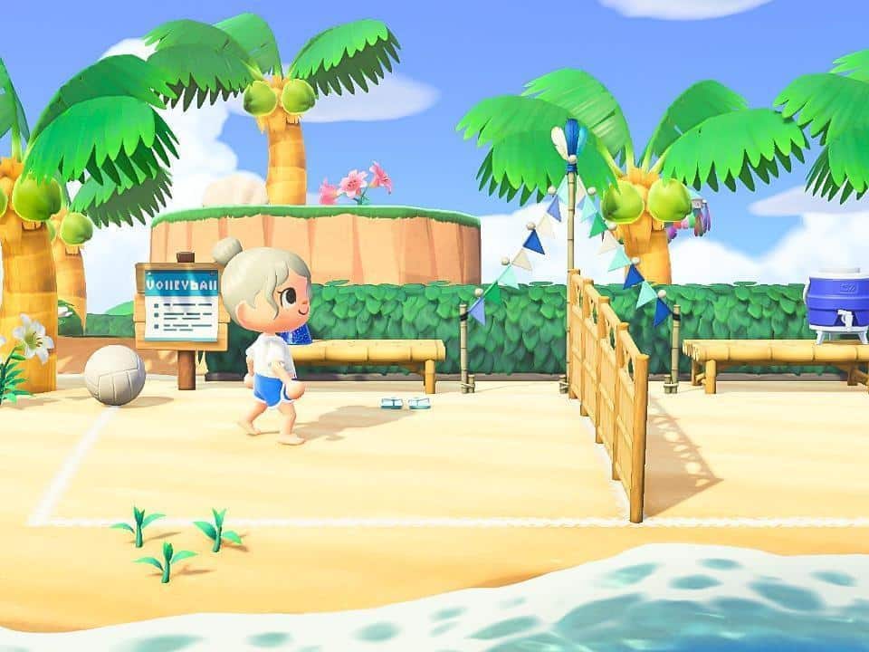 animal crossing beach volleyball arena deck