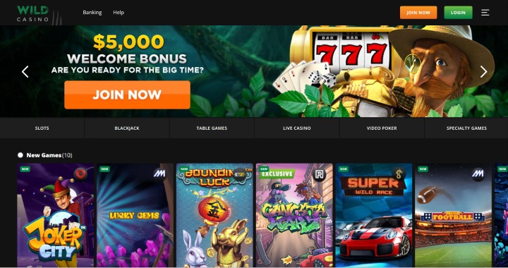 Wild Casino Welcome Bonus Homepage