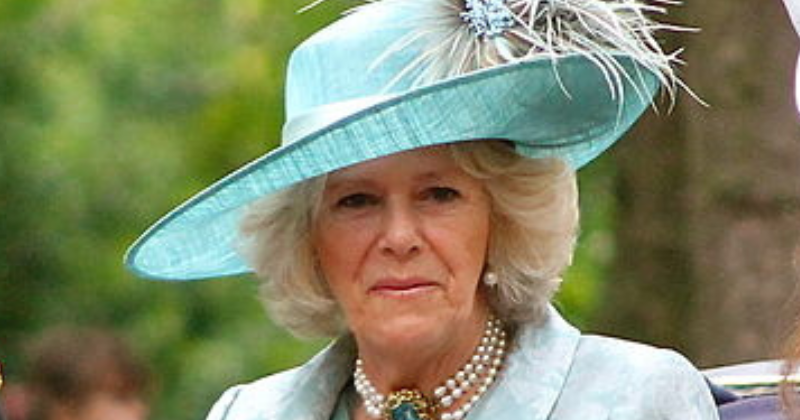 Controversy and Change: Queen Camilla’s Sceptre and the Dropping of the ‘Consort’ Label
