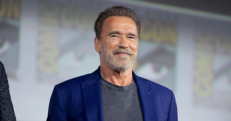 Arnold Schwarzenegger Takes Matters into His Own Hands and Fills in Pothole in Los Angeles Neighborhood