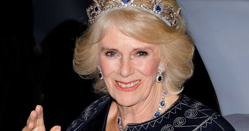 King Charles’ Coronation Robe Revealed: Queen Camilla to Wear Queen Elizabeth’s Queen Camilla's Robe