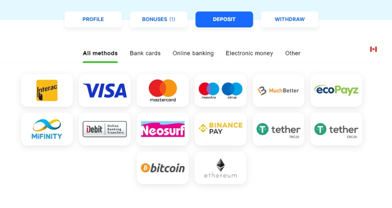 ICE Casino Deposit 2 Desktop