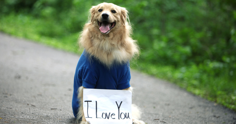 100 Ways to say I Love You on TikTok (1)