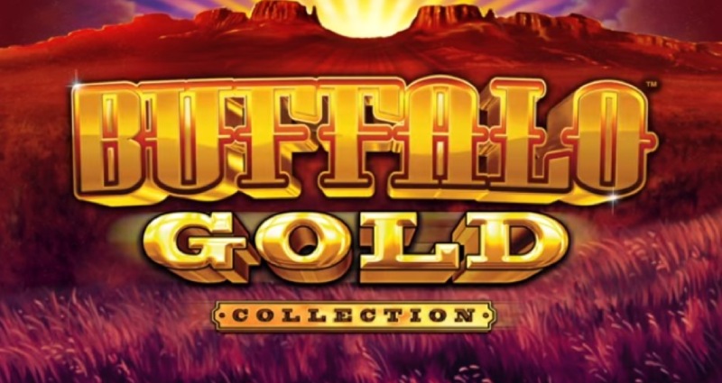 Buffalo Gold