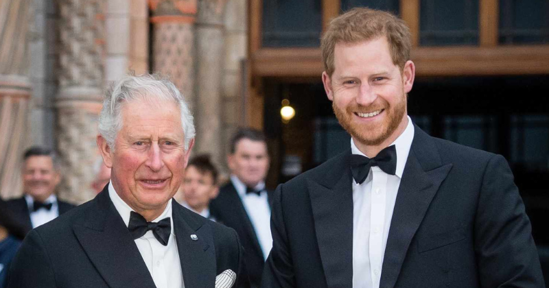 Royal Experts Suggest King Charles May Be Too Soft to Resolve Rift With Prince Harry King Charles rift with Prince harry
