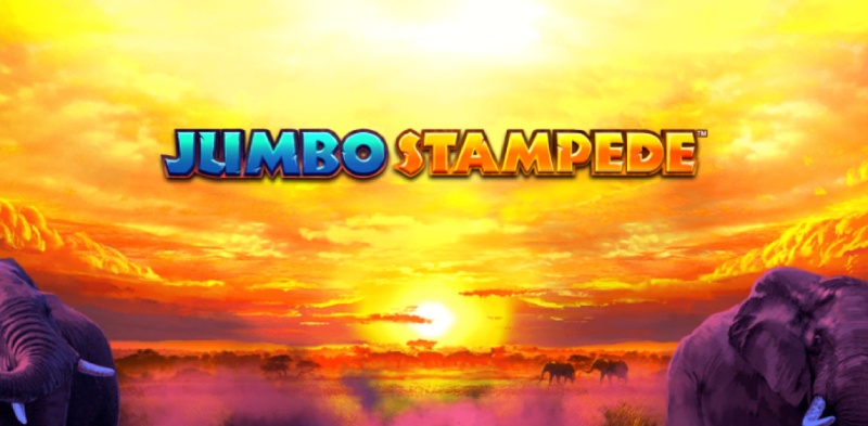 Jumbo Stampede