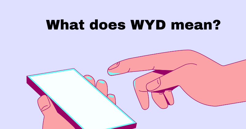 What does WYD mean