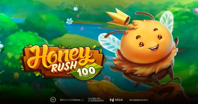 Play N Go Honey Rush 100
