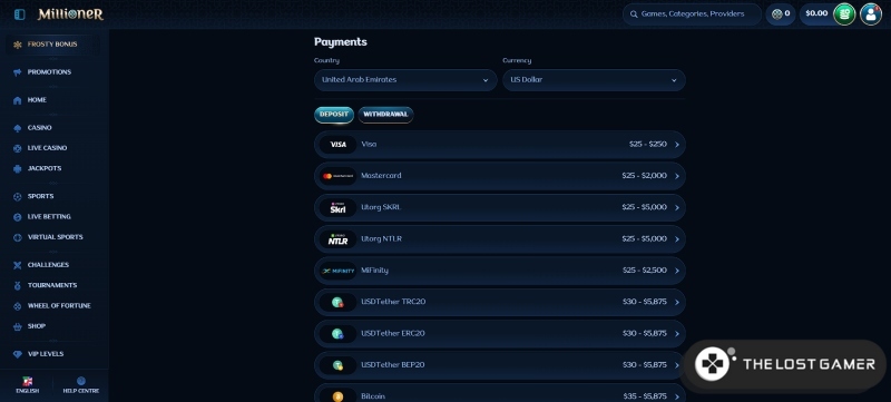 Payment Methods for Online Gambling in UAE